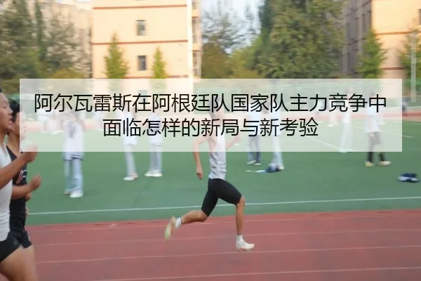 阿尔瓦雷斯在阿根廷队国家队主力竞争中面临怎样的新局与新考验