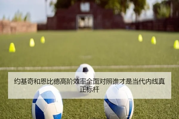 yue-ji-qi-he-en-bi-de-gao-jie-xiao-lv-quan-mian-dui-zhao-shui-cai-shi-dang-dai-nei-xian-zhen-zheng-biao-gan-2-332.jpg