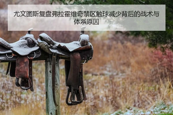 尤文图斯复盘弗拉霍维奇禁区触球减少背后的战术与体系原因