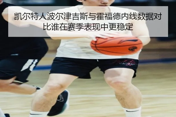 凯尔特人波尔津吉斯与霍福德内线数据对比谁在赛季表现中更稳定