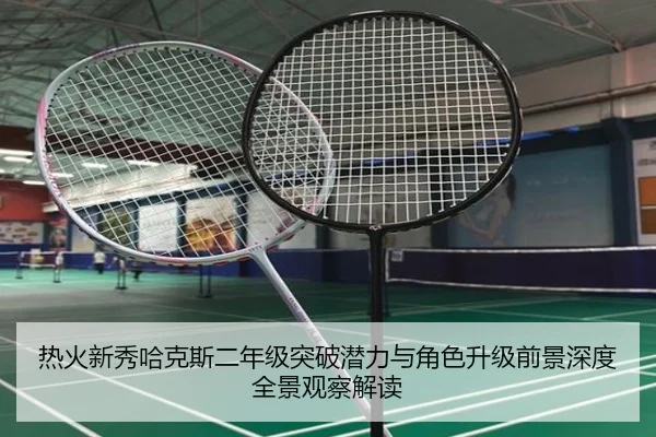 热火新秀哈克斯二年级突破潜力与角色升级前景深度全景观察解读