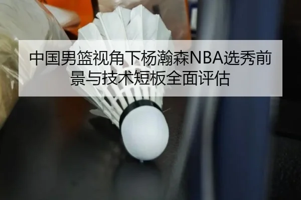 中国男篮视角下杨瀚森NBA选秀前景与技术短板全面评估